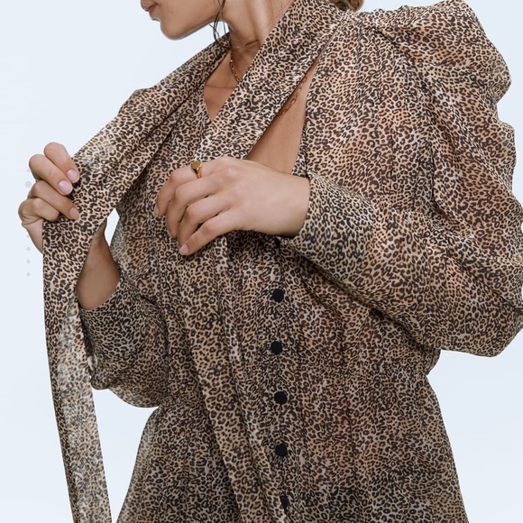 Zara leopard sheer blouse. Xs - Picture 7 of 9
